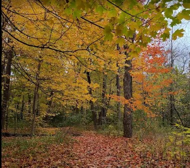 Maple Grove Park