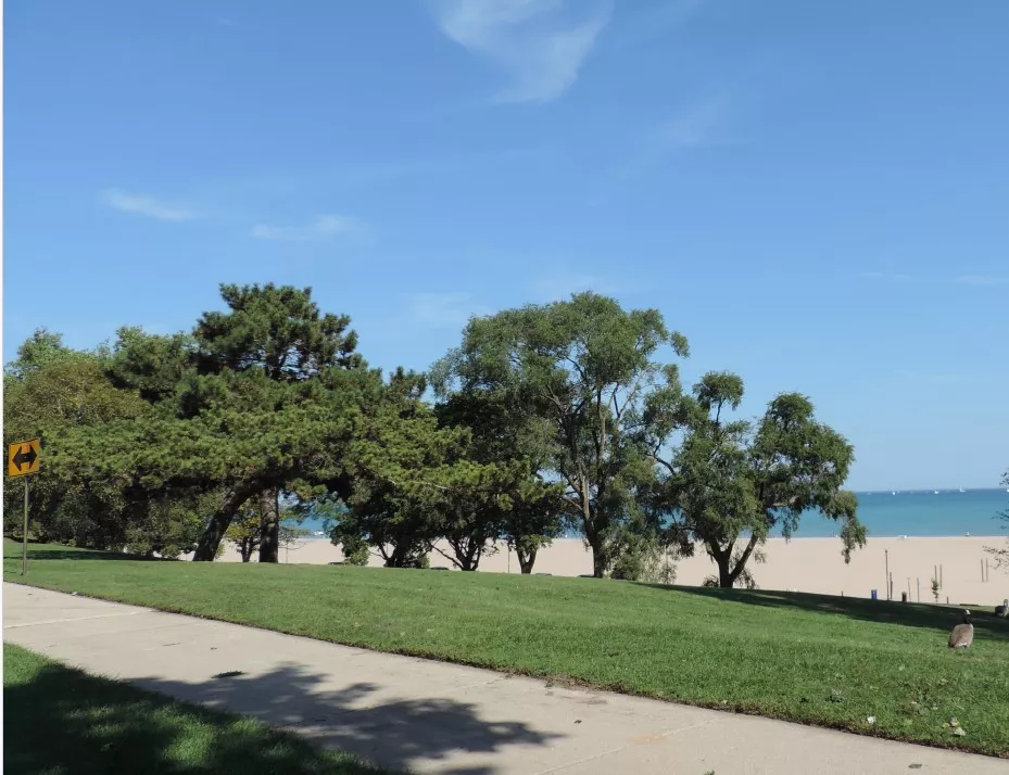 North Beach