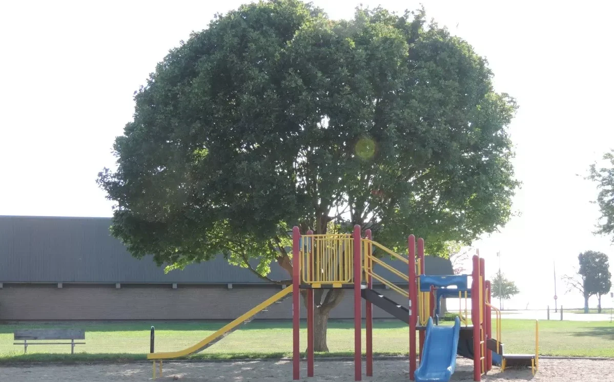Roosevelt Park